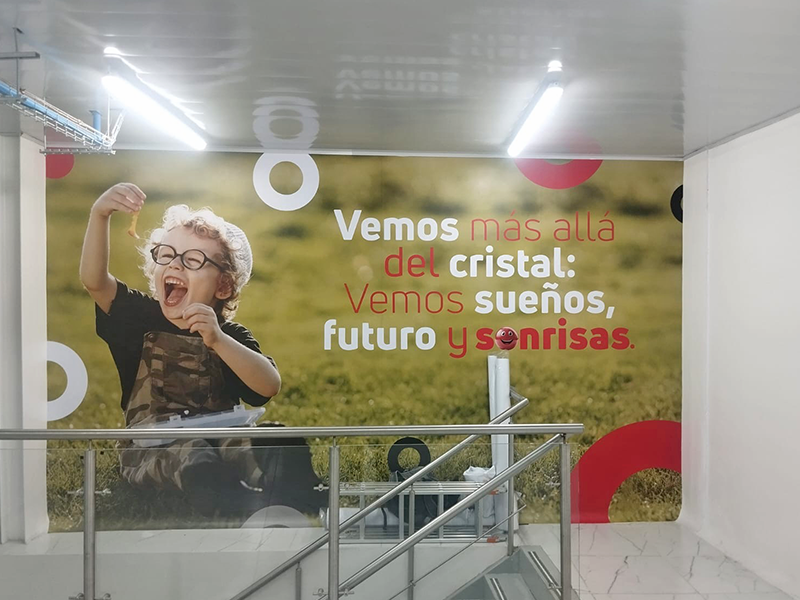Asesoría y Producción En Murales Corporativos